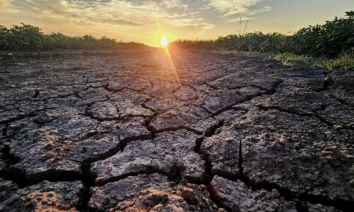 Světu hrozí super El Niño. Udeřit může po válce, expert varuje před „těžkým obdobím“