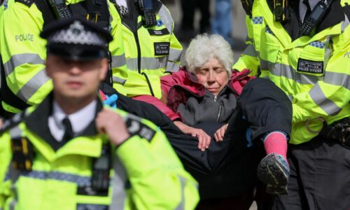 Londýnska polícia zatkla vyše 500 ľudí na demonštrácii za organizáciu Palestíne Action