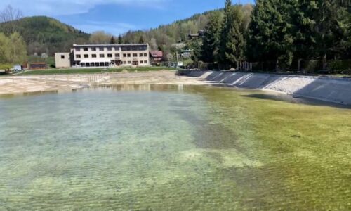 Koupaliště na Šumpersku si oblíbily chráněné ropuchy. Místní se bojí, že si letos nezaplavou