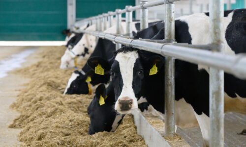 Výrobné ceny agrovýrobkov v marci 2026 medziročne klesli