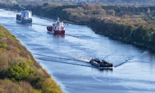 Záchrana Timmyho je u konce: Vyproštěnou velrybu vypustili do moře, její osud je nejistý