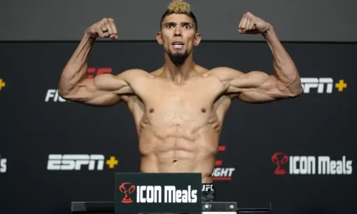 Obrovské prekvapenie a ďalší ťahák na turnaj UFC v Belehrade, kde bude bojovať aj Vlasto Čepo