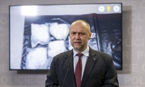 Strach z fentanylu je racionální, říká Frydrych. Větší hrozbu ale vidí jinde, vládě navrhuje změny