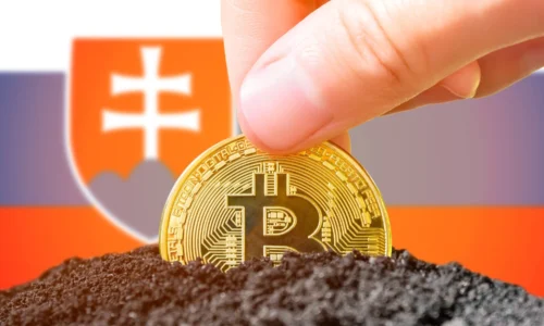 Dane z kryptomien v 2026: Štát si vezme až 51 % zisku.