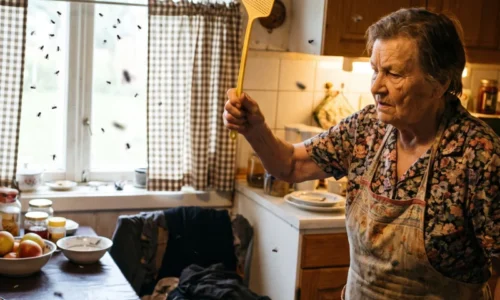 Neuveríte, aký trik poznali už naše babičky: Táto nenápadná rastlina udrží muchy ďaleko od vášho domova