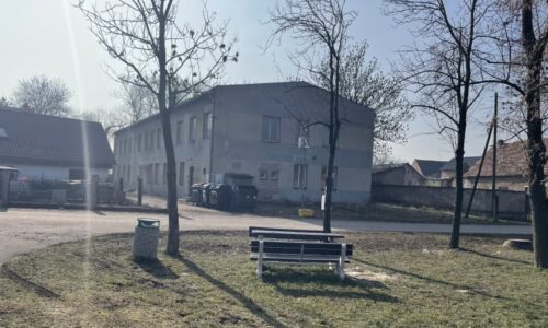 Tragédie na Lounsku: Otec měl brutálně umlátit dvouletého syna. Hrozí mu výjimečný trest