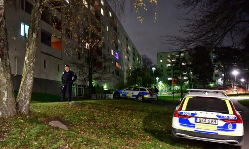 Švédsko zdvojnásobí tresty odňatia slobody za trestné činy spojené s gangmi