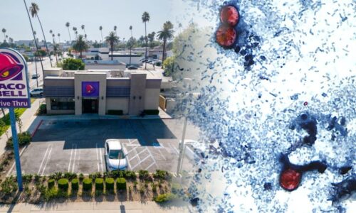 Rozsáhlá nákaza parazitem má v USA první oběti: Podezření padá na salát z fastfoodu
