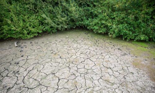 Svět čelí extrémnímu jevu El Niño. Už brzy může hladovět 50 milionů lidí, varují odborníci