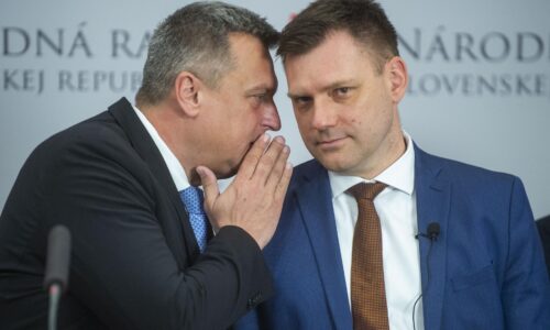 Dankova SNS vyzýva Tarabu, aby inicioval vládu a navrhol zrušenie uznesení k zonáciám