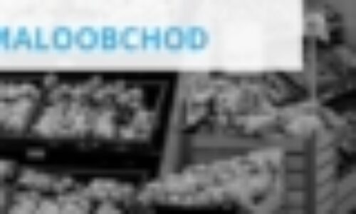 Júnový maloobchod v pozitívnych číslach (flash)