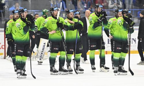 Vlci statočne vzdorovali českému majstrovi, predviedli skvelý prípravák