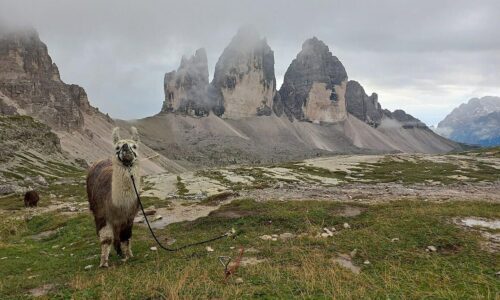 Dolomity praskajú vo švíkoch. Turisti čakajú v radoch pre jedinú fotografiu