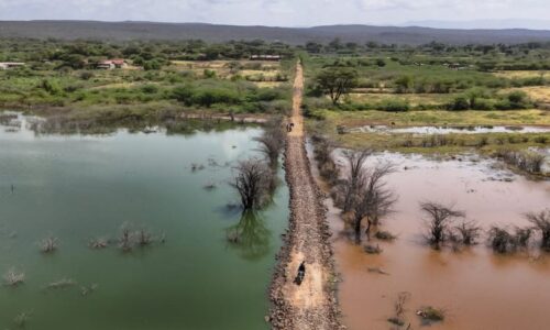 Tisíce lidí prchají před krokodýly. Stoupající keňské jezero přivedlo predátory až ke dveřím