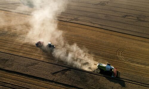 Nemeckí farmári bijú na poplach. Horúčavy a sucho im spôsobujú obrovské škody, od vlády žiadajú rýchlu pomoc