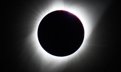 Ptáci v Česku zcela utichnou a nebe rozzáří meteory. Zatmění doprovodí i další výjimečné úkazy