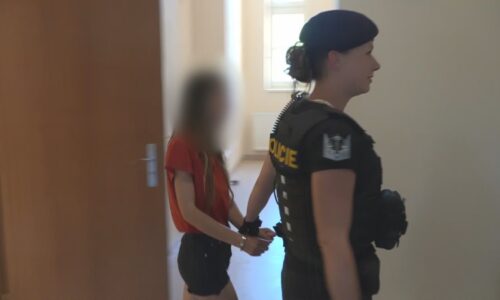 Konec teroru, doufají v Jihlavě. Agresivní žena nadávala i u soudu, míří do vazby