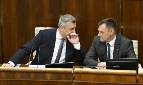 SNS veterné elektrárne nechce, s rozhodnutím rezortu nesúhlasí. Na Slovensku nemajú čo robiť, tvrdí strana
