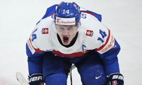 Zámorie ospevuje slovenského bojovníka. Experti na NHL majú jasno: Svoju príležitosť využil na maximum