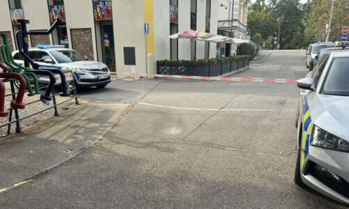 Muž zaútočil na ženu na cyklostezce v Českých Budějovicích. Na místě zemřela